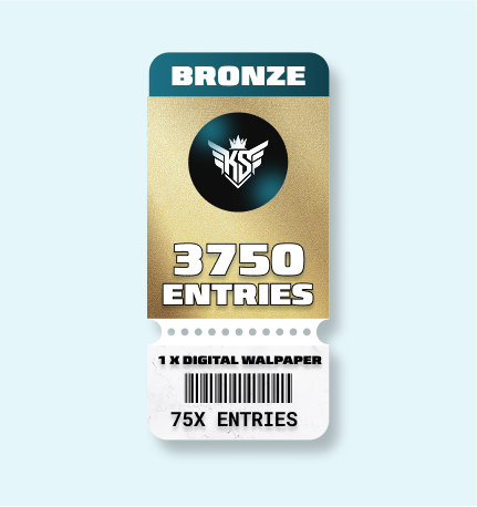 BRONZE DIGITAL ENTRY