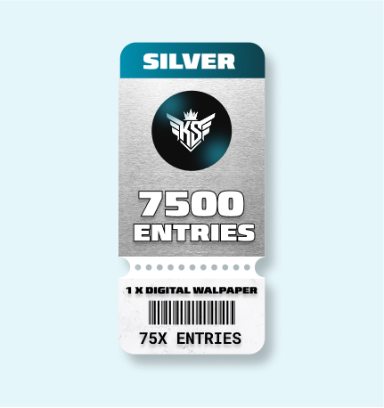 SILVER DIGITAL ENTRY